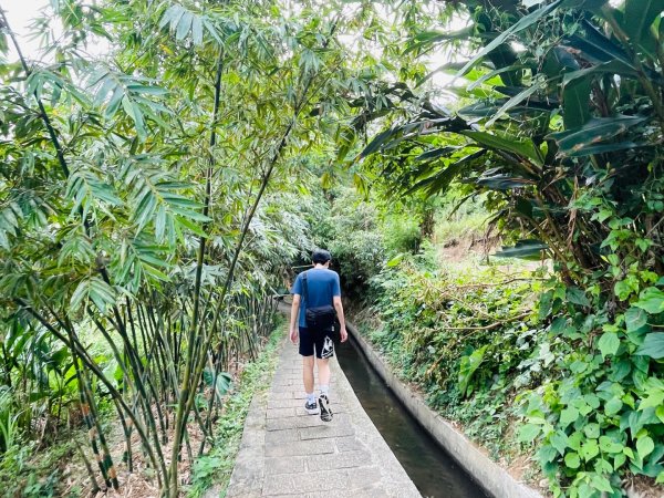 1140926坪頂古圳親山步道2895478