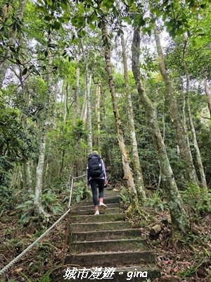 【台中和平】橫嶺山自然步道_木馬古道3095029