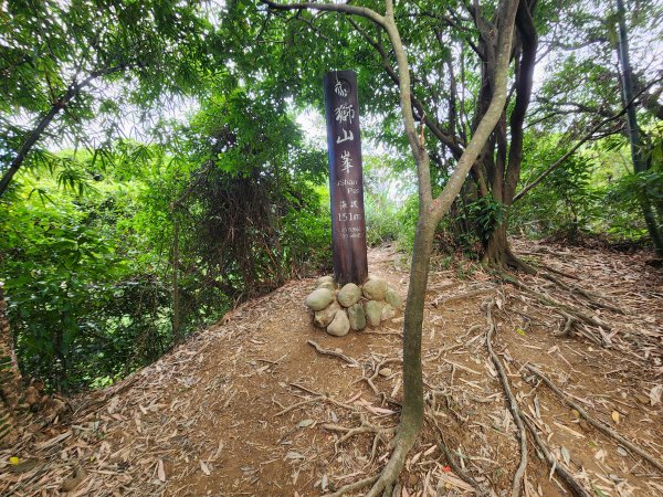 20251109四獸山步道2961744