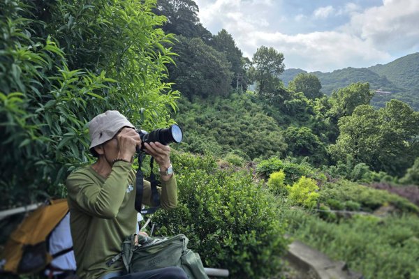 草山避暑3081675