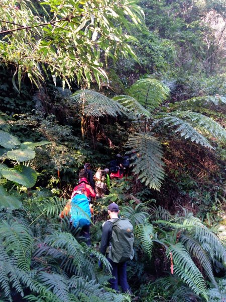 雙鳥縱走+那結山1312841