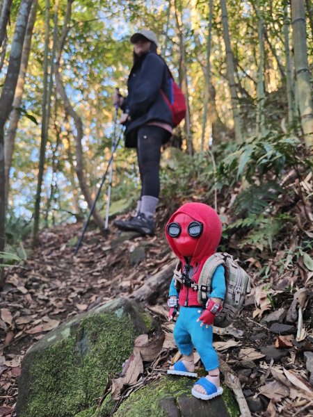 2024.02.01 凌空廊道登煤源山2843940