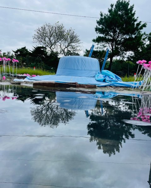 桃園大溪-花彩節🌼李騰芳古厝-月眉落雨松2934764