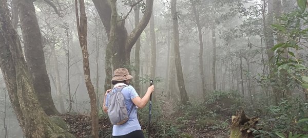 2024/10/10_馬武督步道群+外鳥嘴山2620656