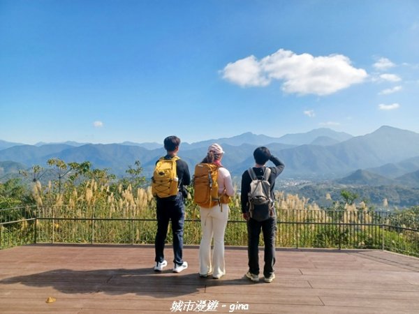 【南投魚池】郊山好視野。 金龍山(槌仔寮山)步道2976307