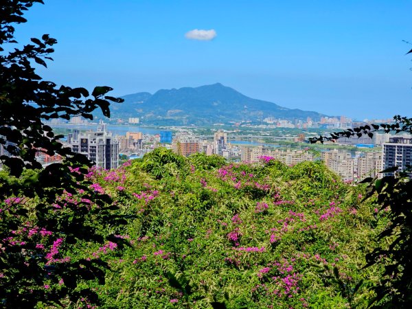 2025臺北大縱走第五段：捷運劍潭站至碧山巖2897847