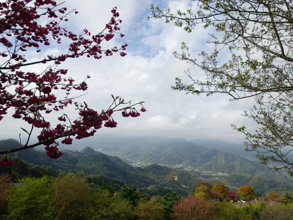 走春祈福-遇見十一分山1286130