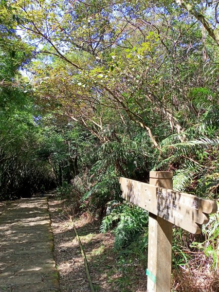 （2-2 大崙頭山→金面山）《暢遊翠山步道→小溪頭環狀步道→大崙頭尾山→論劍山→剪刀石山→金面山》1638421