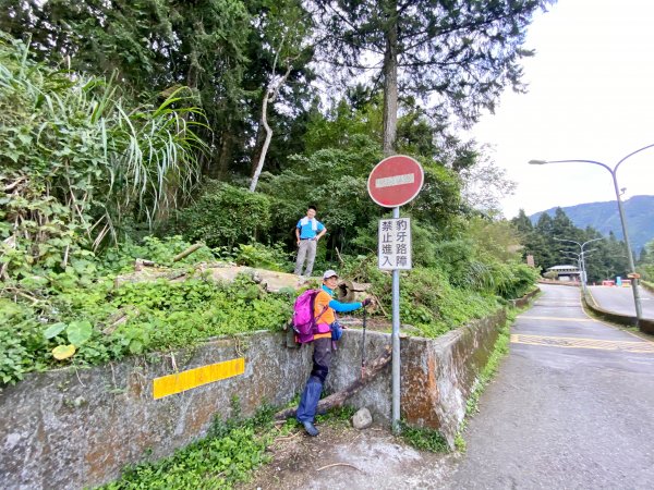 溪頭南鳳凰山、天文台O型走    2021/5/51374197