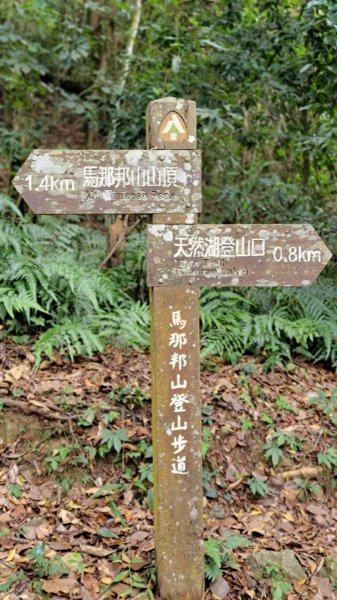 馬拉邦山健行1520707