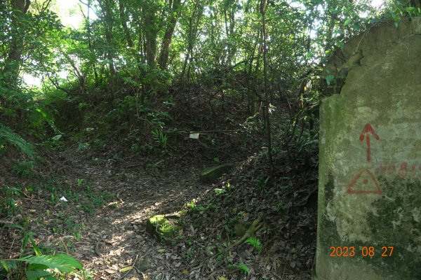 基隆 安樂 大武崙山、三角嶺頭山2268051