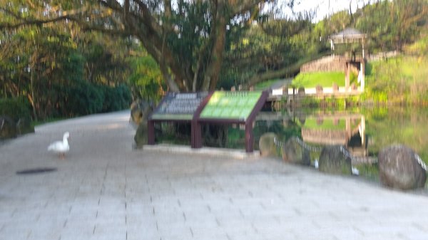 大武崙山、情人湖3046538