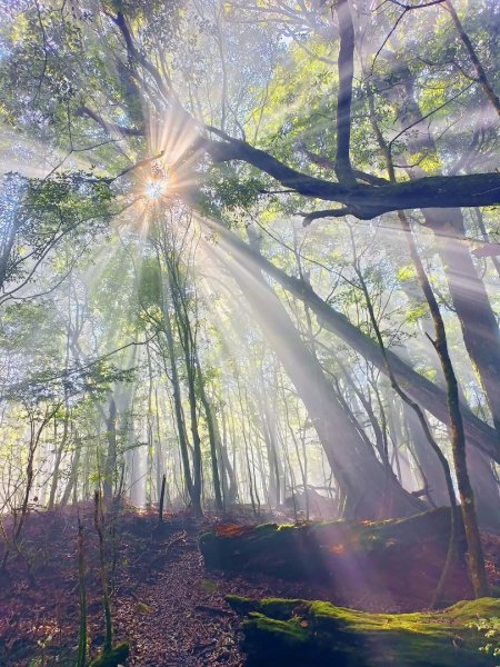 20250209 觀雪縱走2712932