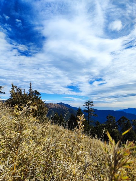 單攻志佳陽2725313