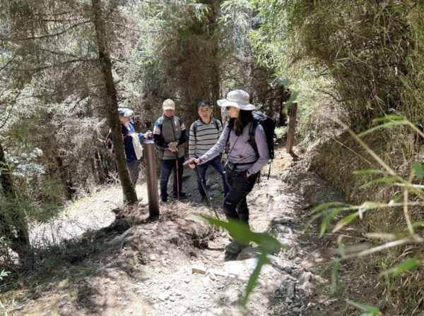 【新聞】太熱門！玉山塔塔加登山步道出現多根圓柱體 設計數器實測人流