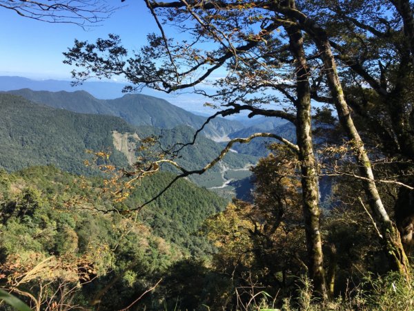 台灣山毛櫸步道、魔幻森林、翠峰湖、太平山2336427