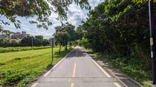 浮洲濕地,打鳥埤濕地,城林濕地2377907