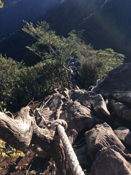 鳶嘴稍來山步道303773