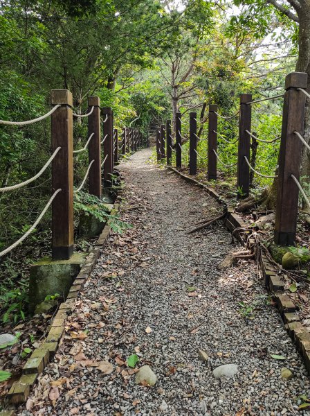 大坑3號登山步道1684730