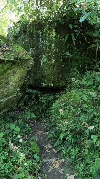 20251004 馬那邦山 - 珠湖 登山口2904876