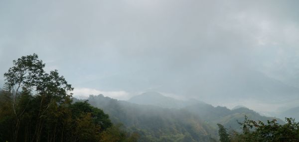 鳳凰山-台演山108550