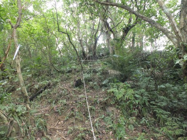 百二階古道+苕谷瀑布+逸仙山+泰和樓2734454