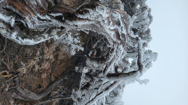 多變化南湖大山1564252