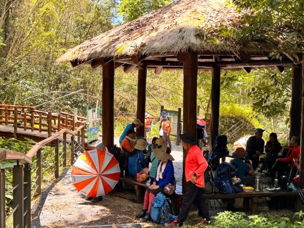 阿里山迷糊步道-福山古道2793380