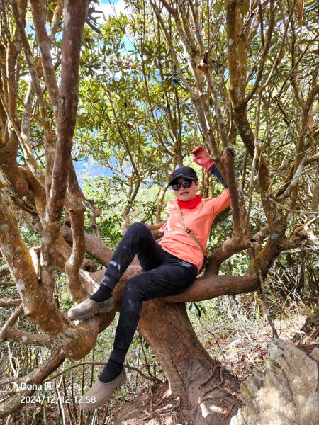 【谷關七雄】波津加(H1771.6m)肉腳配速成功2670483