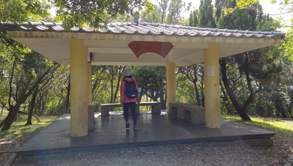 (姨婆趴趴走)第三十一集:新北金山獅頭山公園、神秘海岸、老街縱走2340222