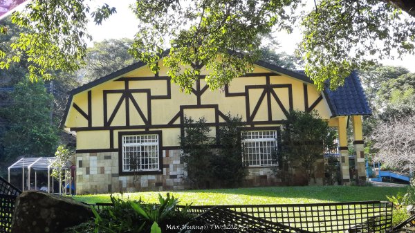 《新竹》斷崖神木｜北得拉曼步道小P繞202510172917454