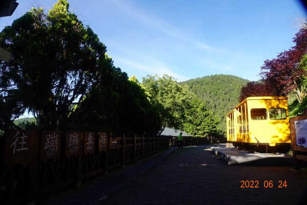 宜蘭 大同 太平山森林遊樂區1743631