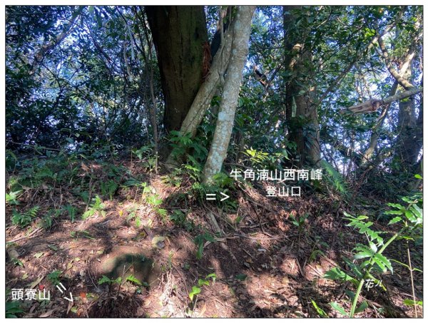 頭寮山、內湳溝山、牛角湳西南峰O型連走2738974