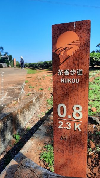 《新竹》湖口老街｜金獅古道O繞茶香及仁和步道202412062663722