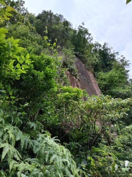 瑞芳區瑞芳四秀(白象山+秀崎山+瑞芳山+龍潭山)2785218