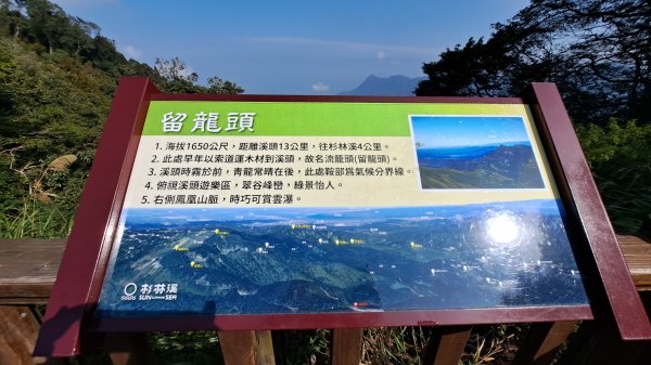 20250218 金柑樹山+忘憂森林2719531