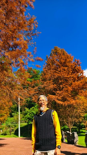 #花卉試驗中心 #永公路500巷 #平菁街42巷 #原住民公園 #士林官邸 1/42976610