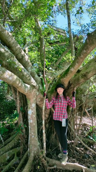 🌈2/15（六）白雲山+西阿里關山小百岳🌈FB：熊熊趴爬走 歡迎加入2714926