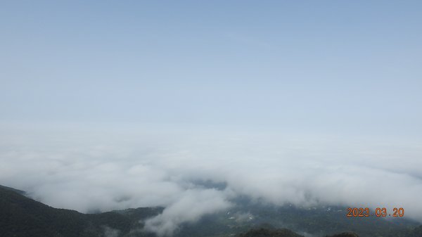 陽明山再見雲海，天空之城 ? 水淹金山寺 ? 3/202080077