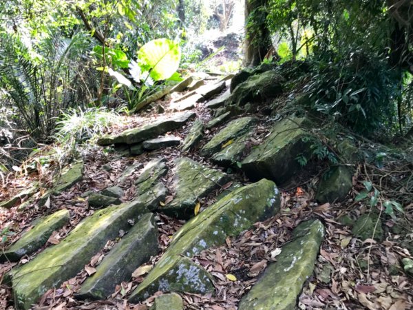 烏山步道走刣牛湖山468670