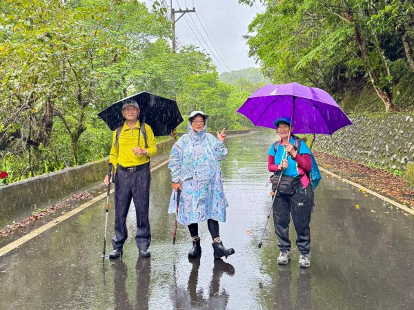 大舌湖山-漁光國小-茶園-虎寮潭吊橋2772999