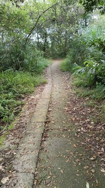 20251004 馬那邦山 - 珠湖 登山口2904801