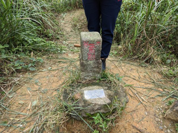 2023-02-11 槓子寮砲台、槓子寮山步道（龍崗步道）2792624
