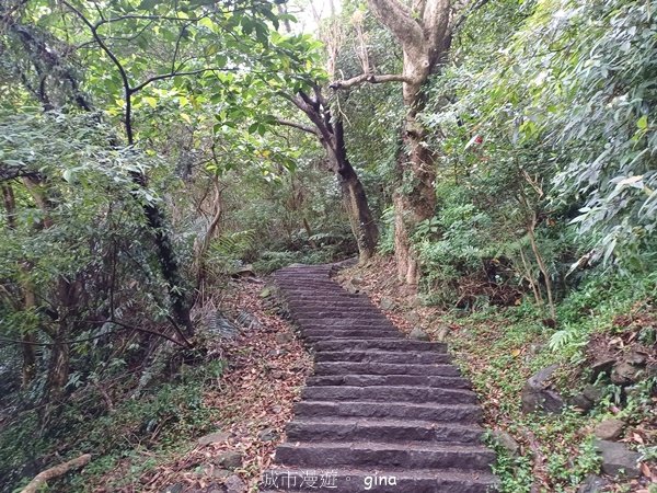 【新北五股】登高望遠。 No5小百岳~硬漢嶺步道 (觀音山)2501757