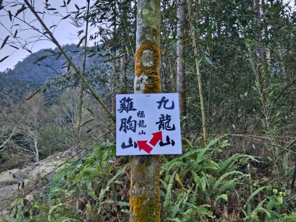 九龍山連走大凍山2955704