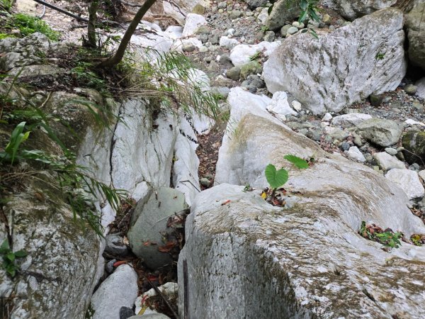 麻荖漏步道、彩虹瀑布2697955