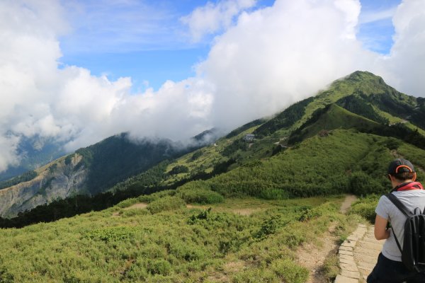 武嶺拍鳥順遊石門山及合歡尖山704449