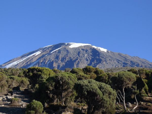 非洲最高峰吉力馬札羅山攻頂紀實235763