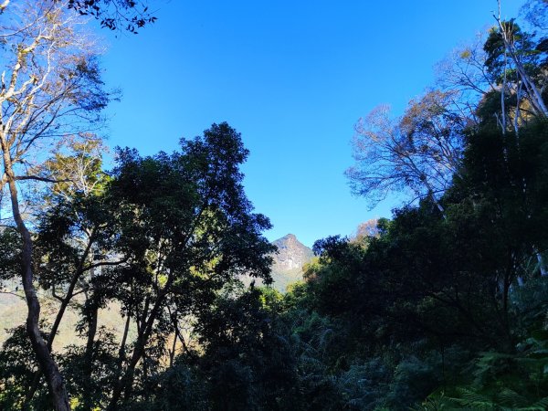 泰安鳥嘴山（上島）2689332