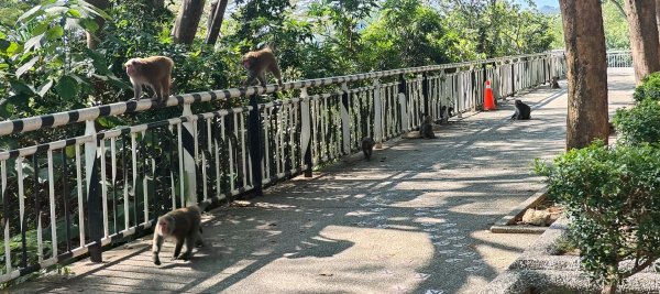 高雄壽山、半屏山2943040